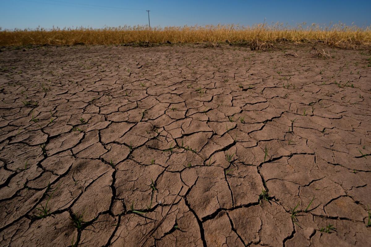 El Niño ya está aquí y los científicos temen que será enorme, devastador y costoso