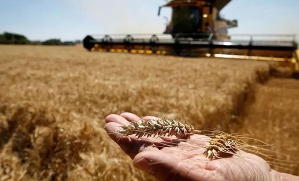 Brasil prevé producción récord de granos en 2026.