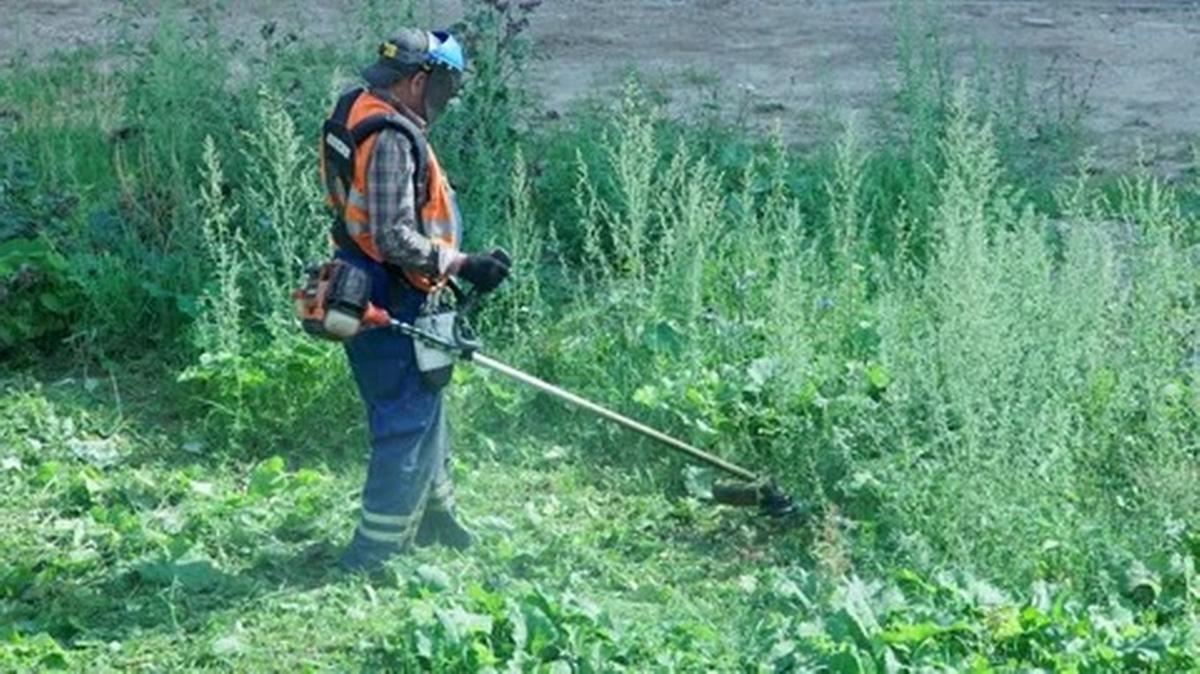 El intendente Francioni advierte sobre la falta de recursos y su impacto