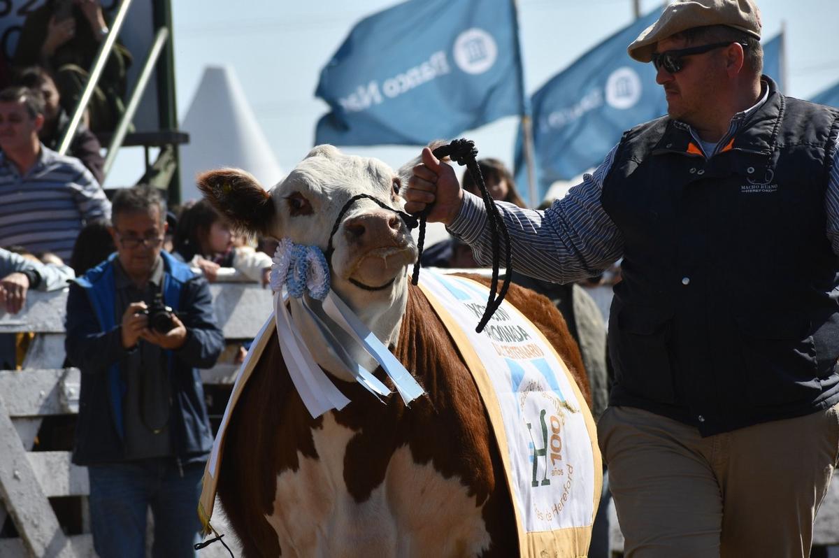 FOTO: 90° Exposición Nacional Ganadera Comercial e Industrial de Río Cuarto. (Gentileza)