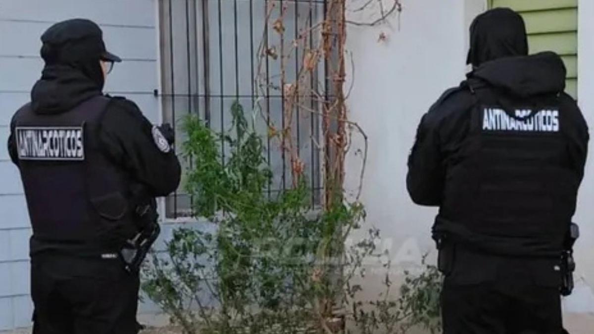 Detenidos en Plottier tras disparar a un hombre con pistola de aire comprimido