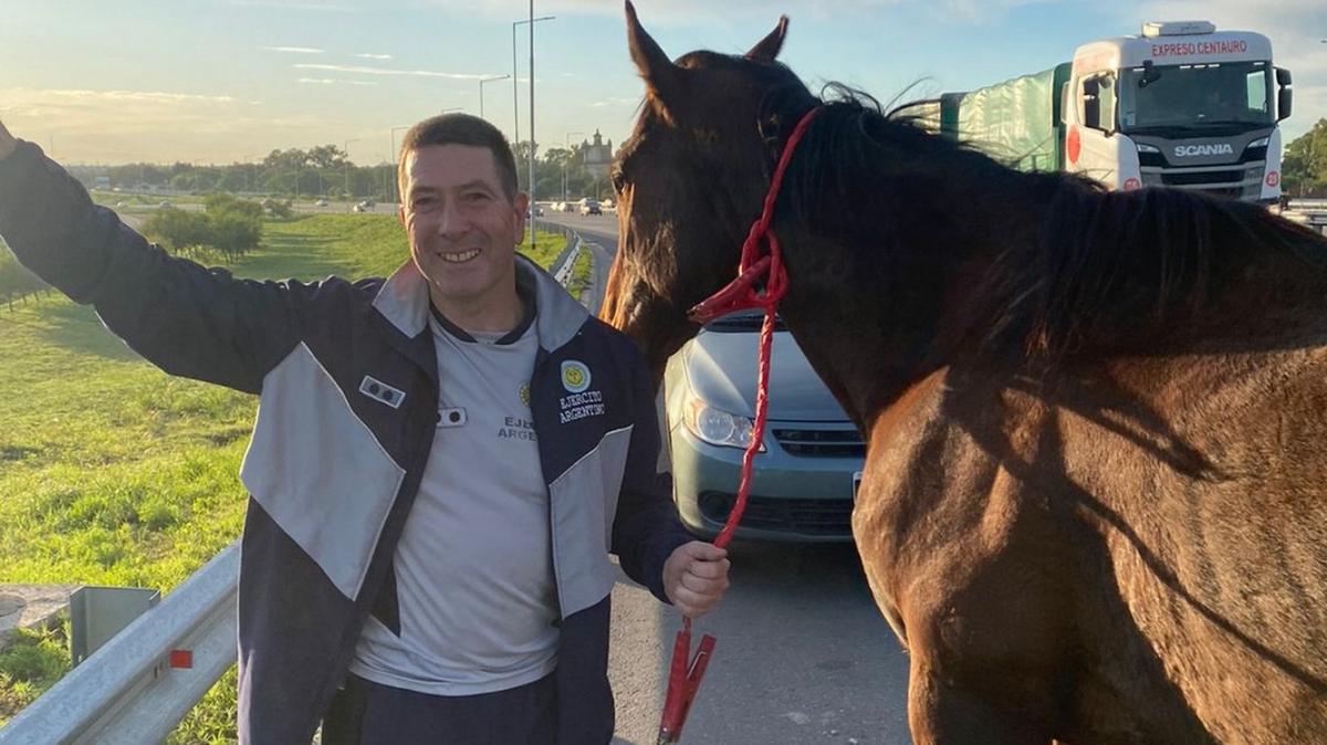 FOTO: Luis, el automovilista que atrapó el caballo para ponerlo a resguardo