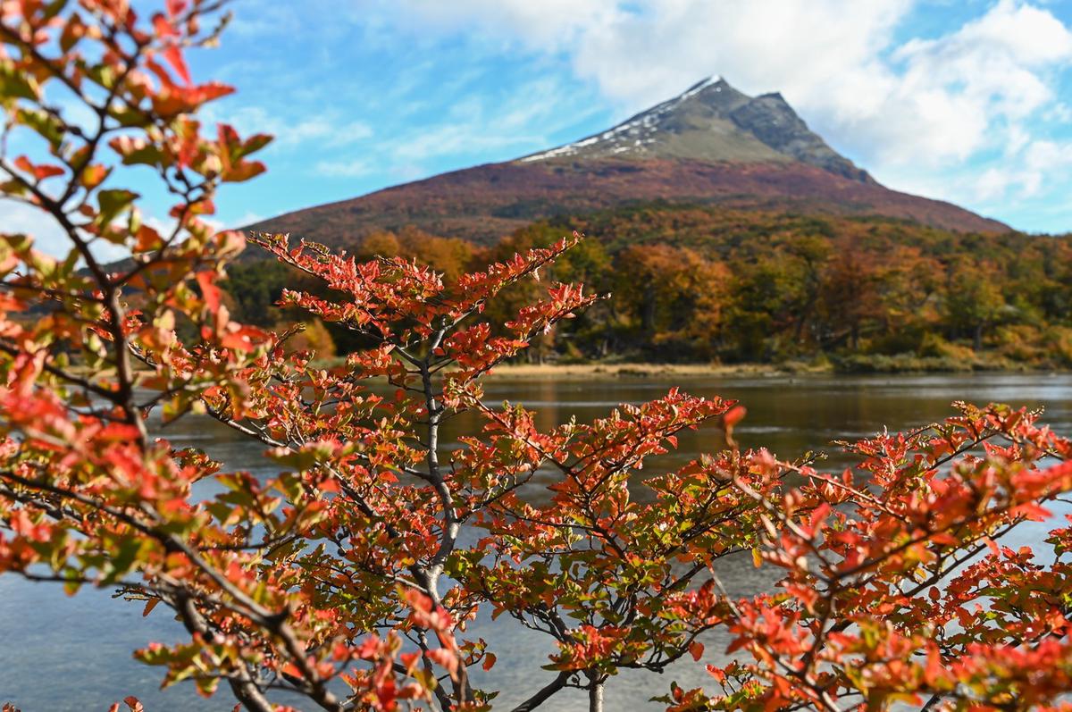 “Otoño del Fuego”, un programa de descuentos para viajar al fin del mundo