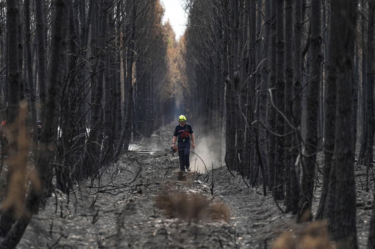 Francia contiene el incendio cerca de Burdeos mientras 1.500 bomberos combaten otro en Provenza