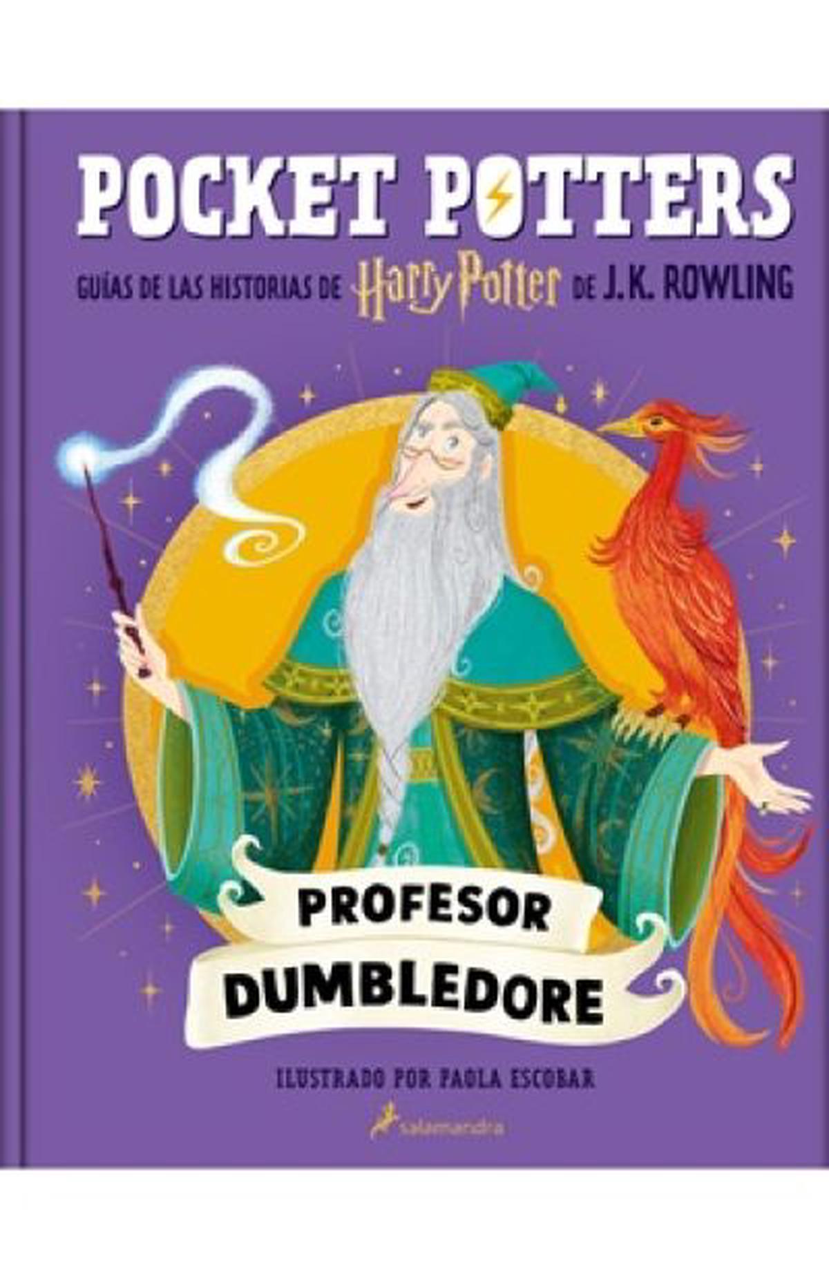 Pocket Potters: El legado del Profesor Dumbledore en Hogwarts