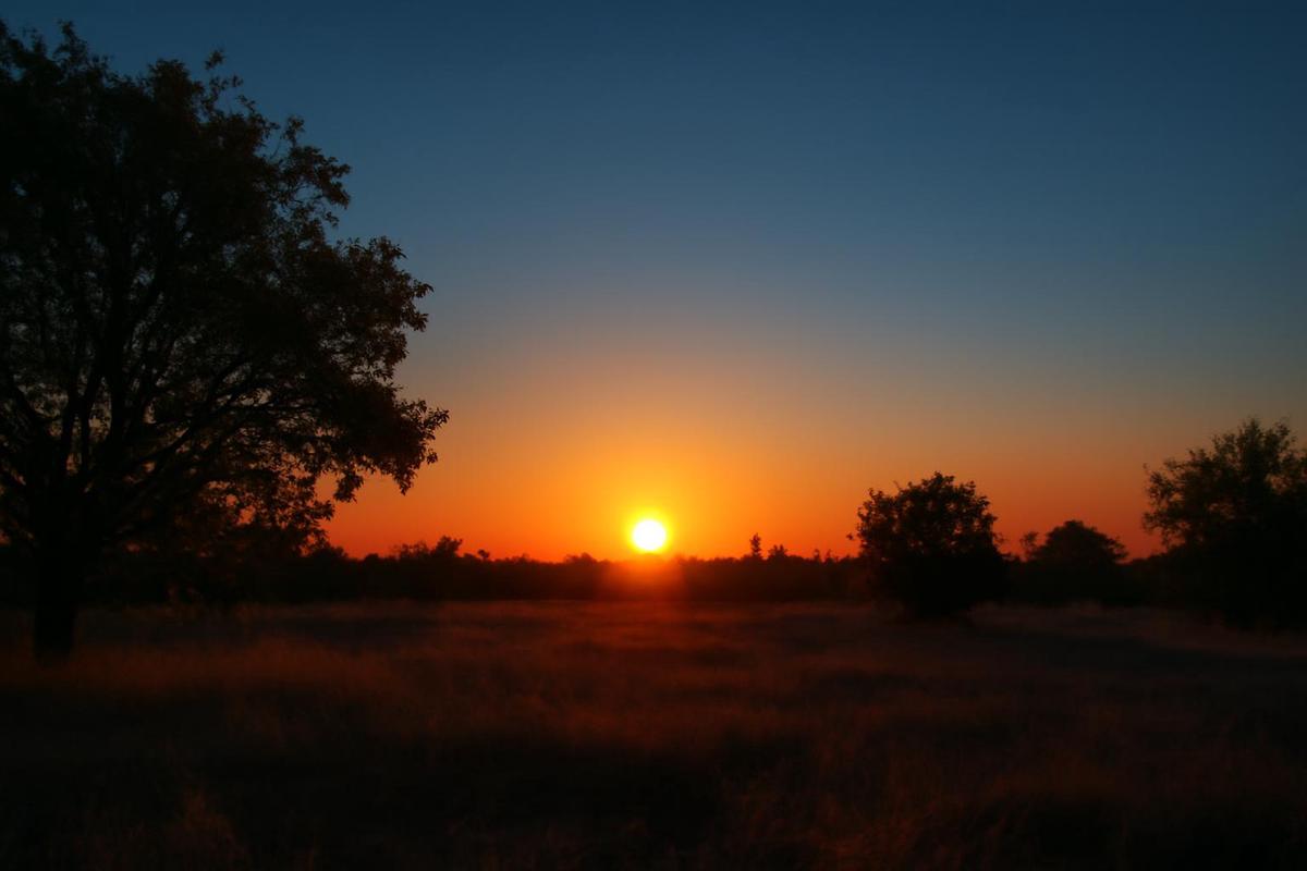 Clima en Mendoza: pronóstico del tiempo para el 8 de diciembre