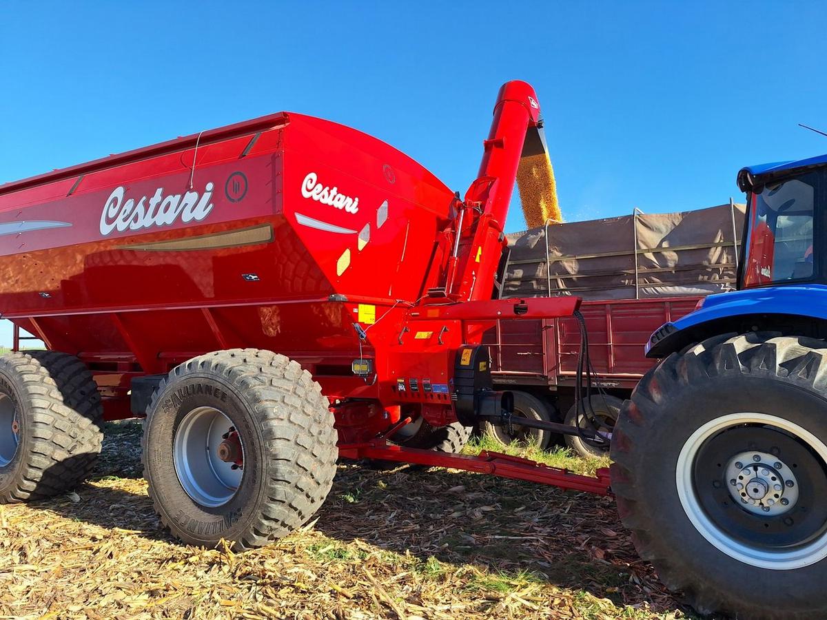 La tolva Cestari S6 de 30 tn fue la encargada de asistir a la cosechadora