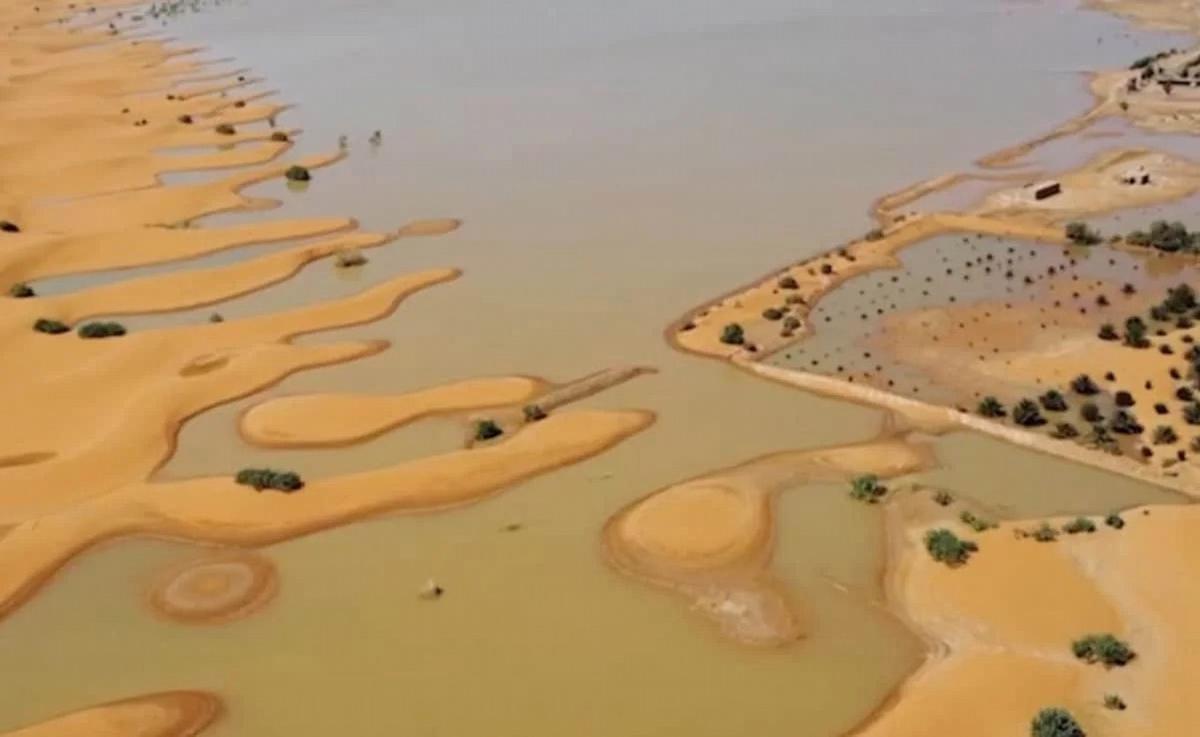 FOTO: El Sahara se transforma tras intensas lluvias