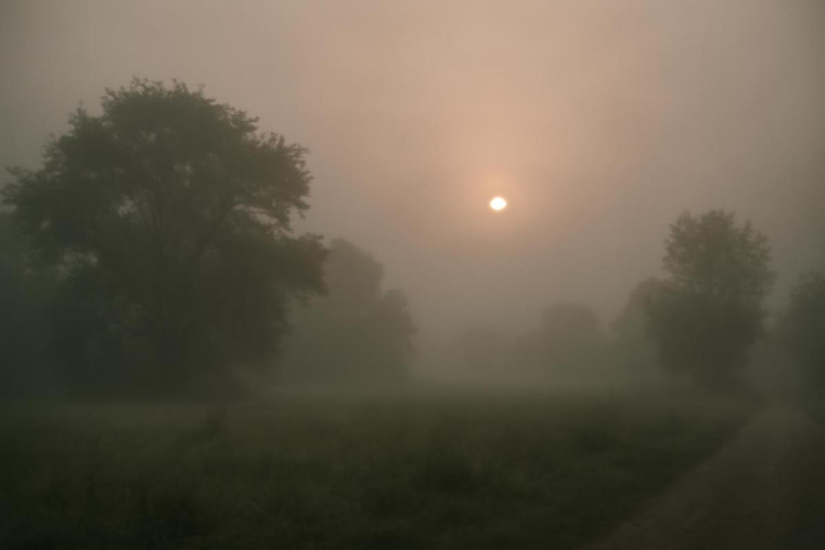 Clima en Tucumán: pronóstico del tiempo para el 15 de marzo