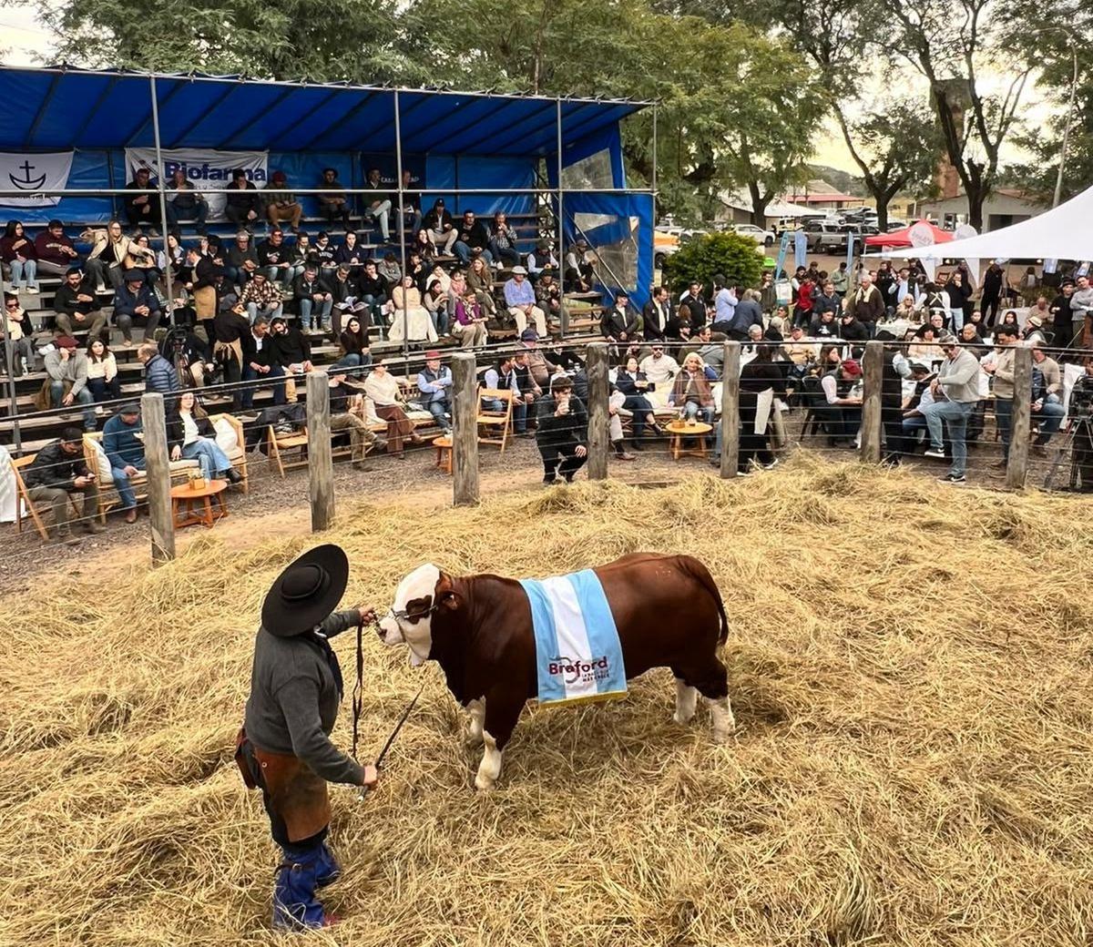 Toro en su rodeo. Pilagá deja la vara alta.
