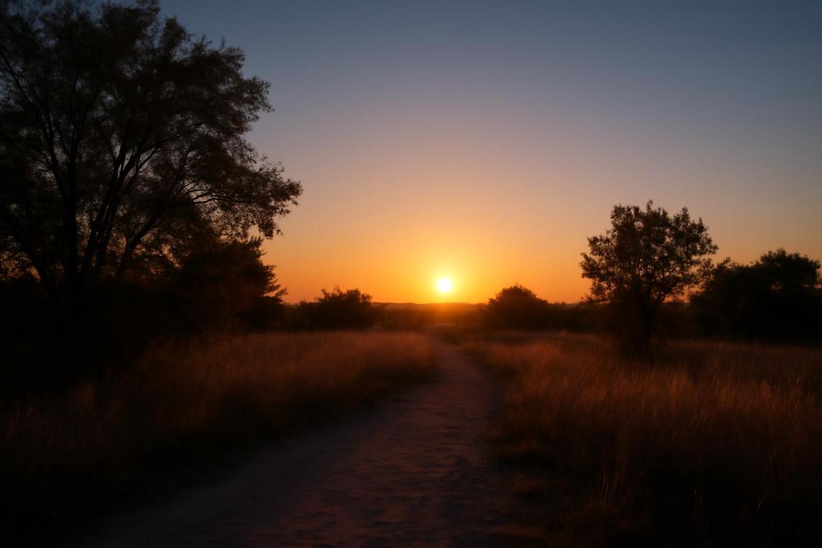 Clima en Mendoza: pronóstico del tiempo para el 10 de abril