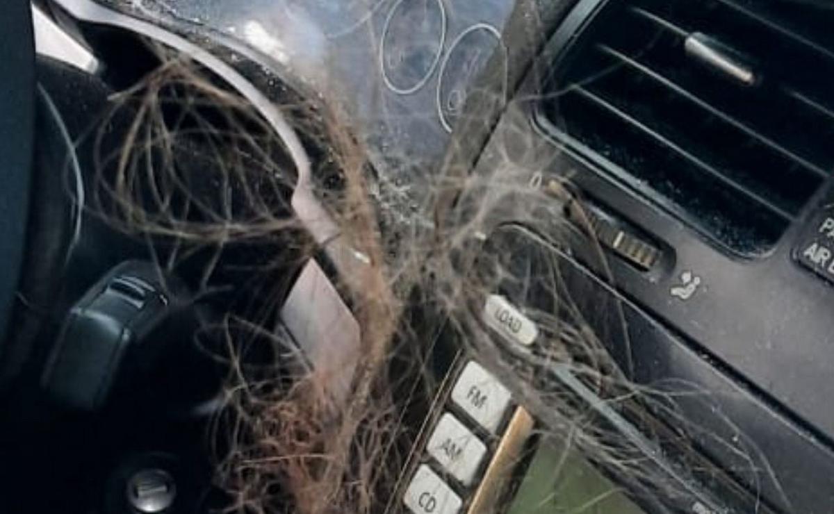 FOTO: Pelos de la víctima en el interior del auto del hombre que la agredió salvajemente.