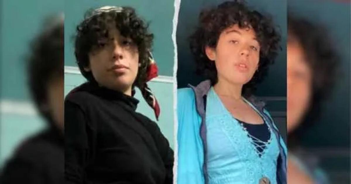 Buscan intensamente a Lourdes Brizuela, joven argentina desaparecida en Chile