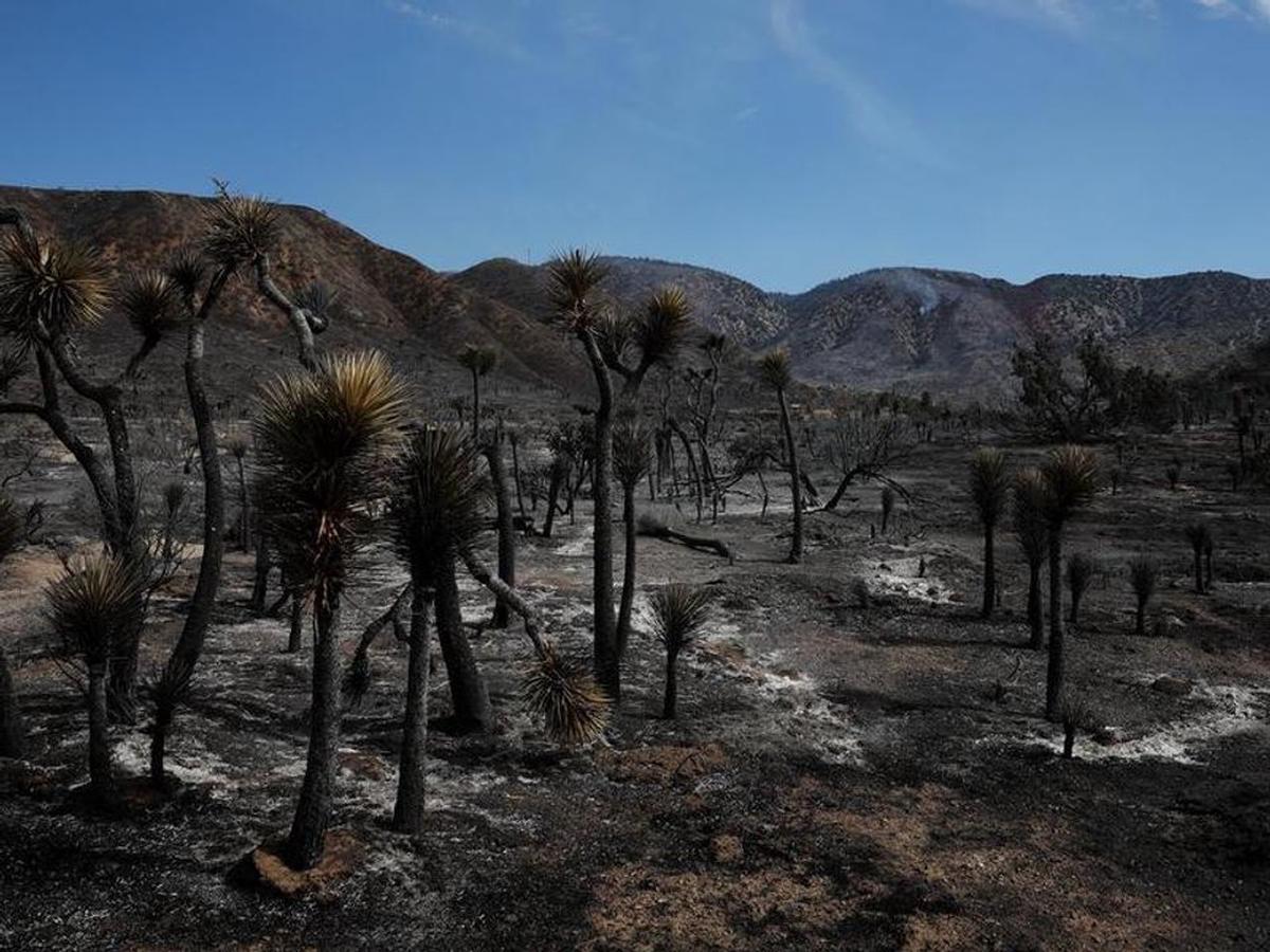 Un incendio causaba estragos.