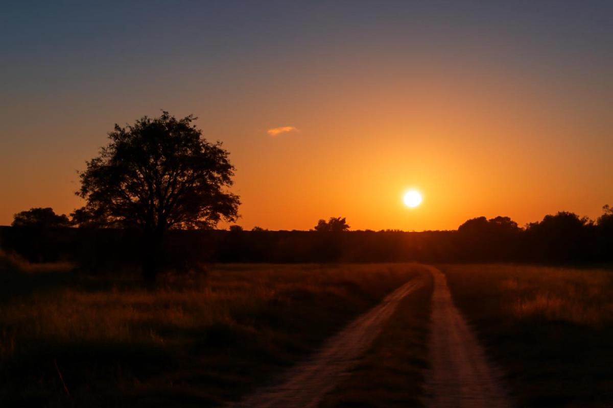 Clima en Córdoba: pronóstico del tiempo para el 24 de agosto