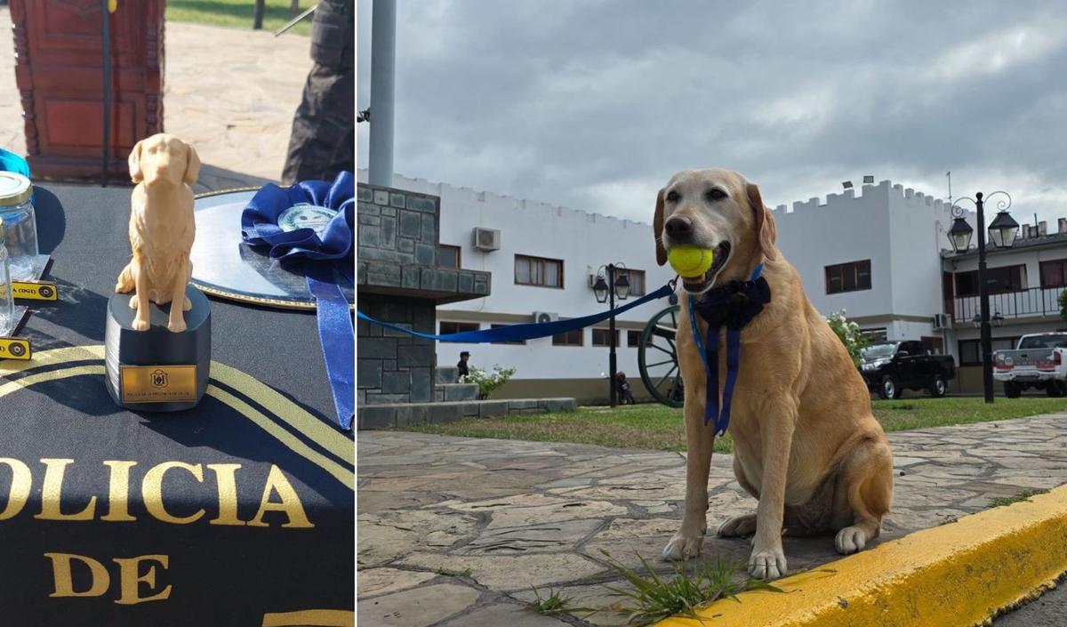Kala, la perra policía que se retira tras ocho años de servicio y honores