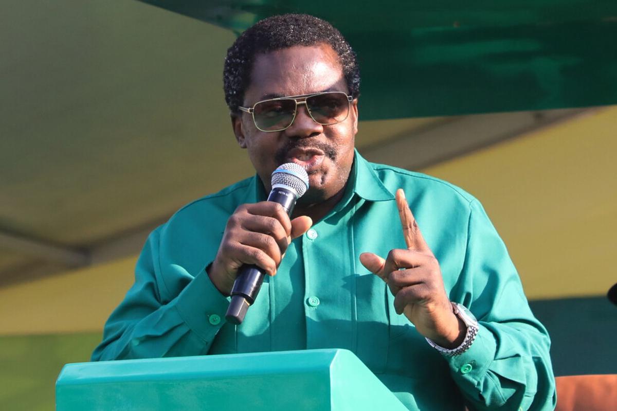 Expulsan del partido gobernante de Tanzania a vicepresidente tras dimitir a su cargo