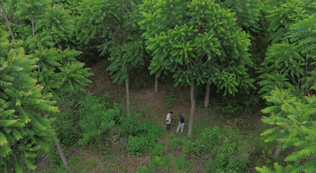 La familia que recupera bosques nativos.