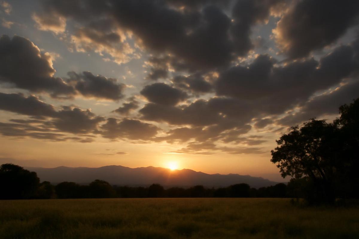 Clima en Salta: pronóstico del tiempo para el 5 de enero
