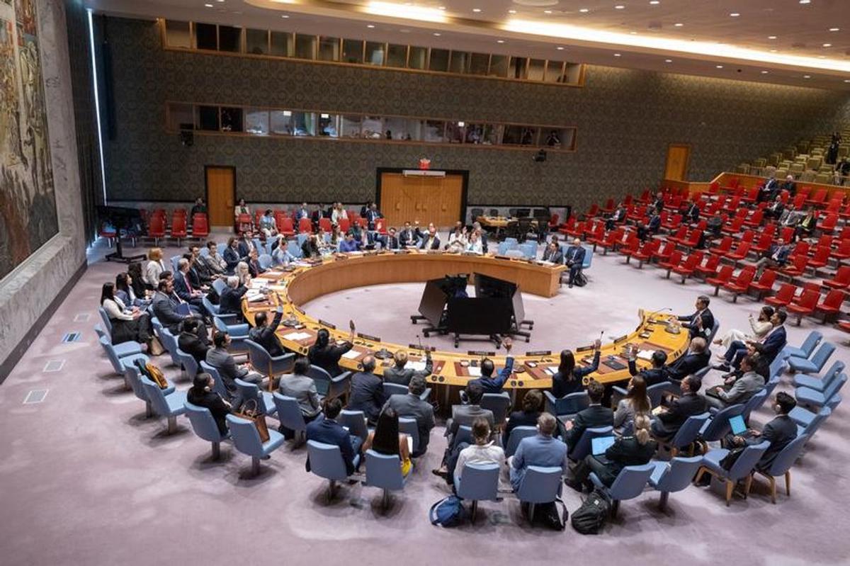 Consejo de Seguridad de la ONU.