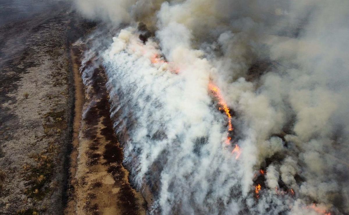 Incesantes quemas en las islas del Delta del Paraná.