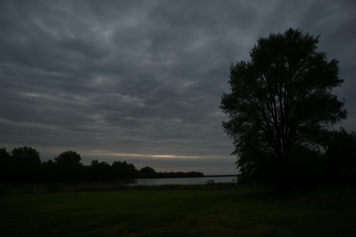 Clima en Rosario: pronóstico del tiempo para el 19 de julio