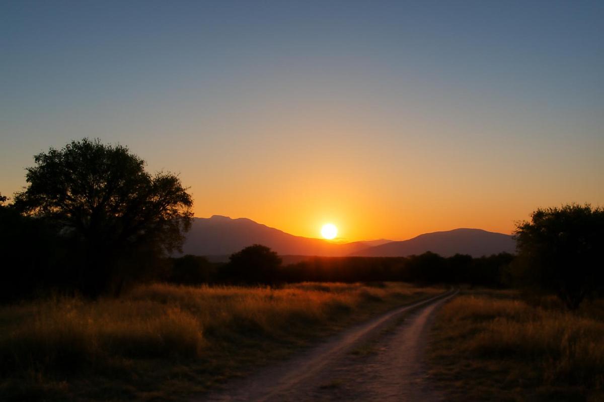 Clima en Salta: pronóstico del tiempo para el 31 de julio