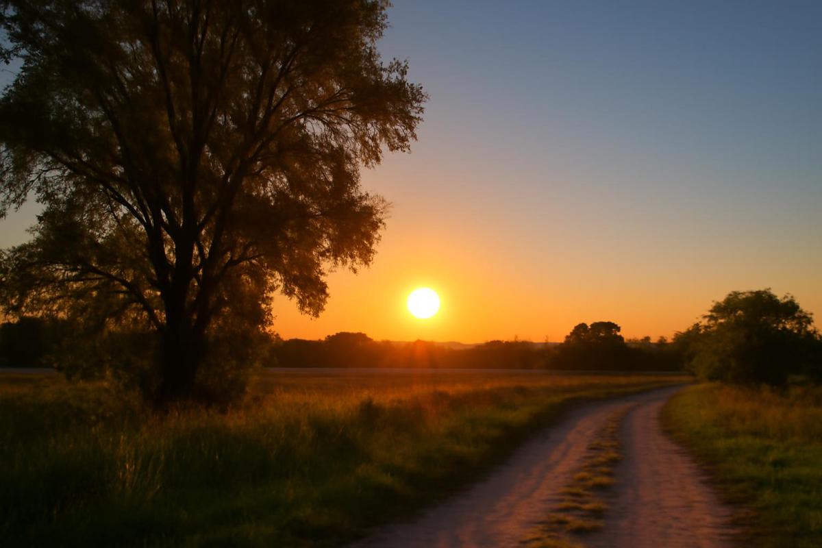 Clima en Córdoba: pronóstico del tiempo para el 13 de febrero