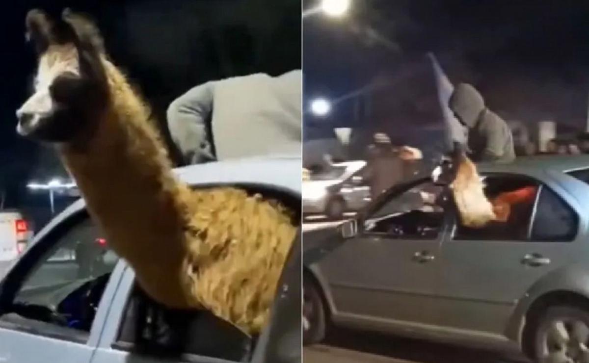 Festejaron con una llama dentro del auto en Mendoza. (Gentileza)