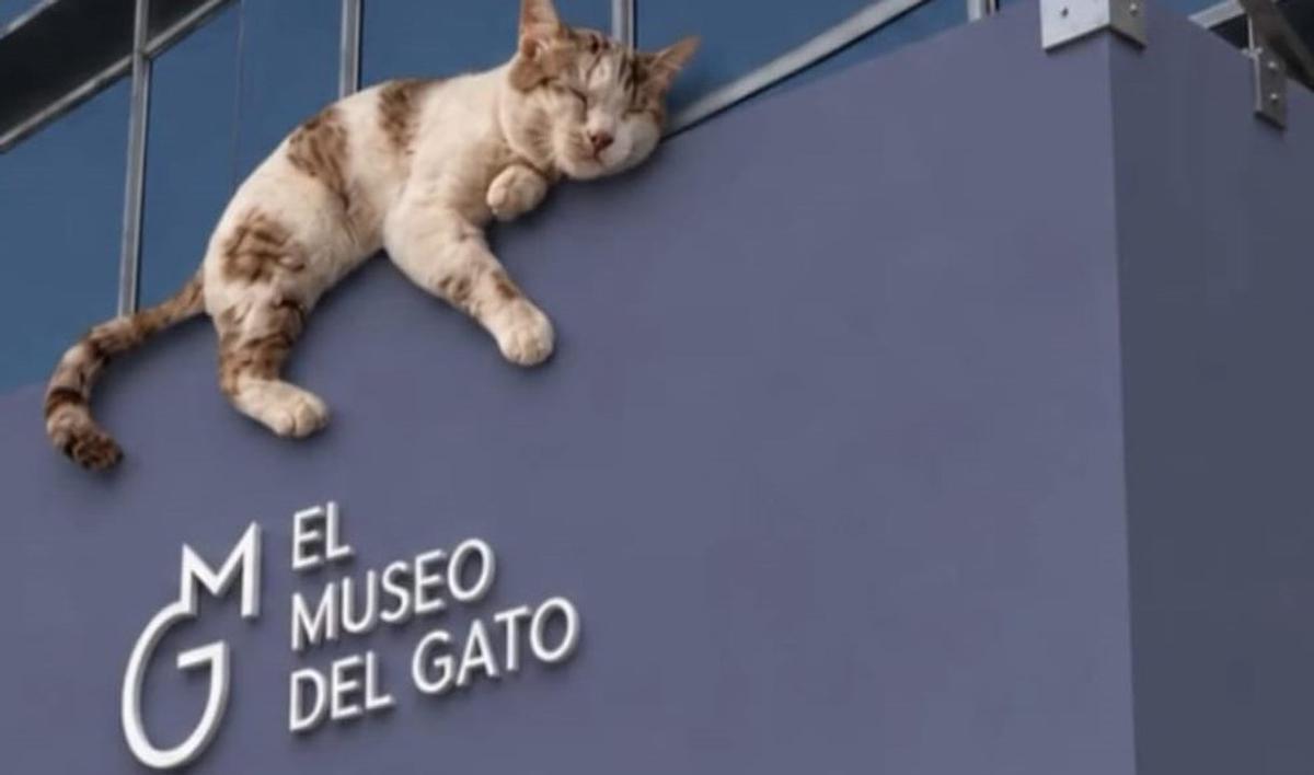 El museo es único en su tipo.