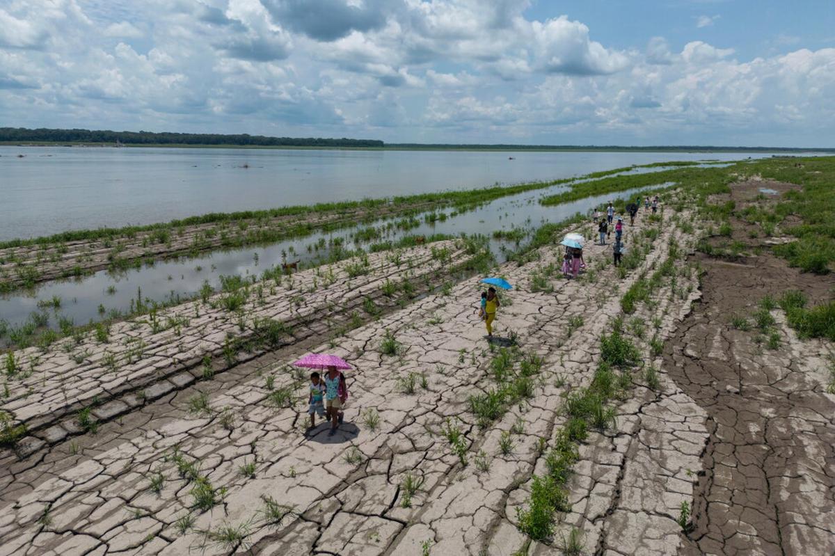 Elecciones en Colombia podrían afectar el futuro de la Amazonía y los hidrocarburos