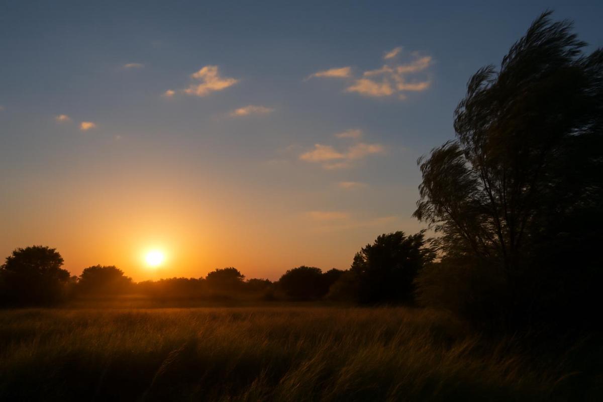 Clima en Mendoza: pronóstico del tiempo para el 24 de diciembre