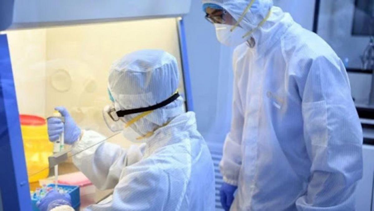 La OMS dice que el riesgo de la actual epidemia de ébola es