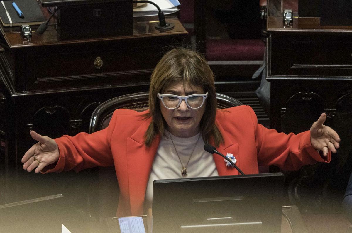 Patricia Bullrich. (Foto: NA/archivo)