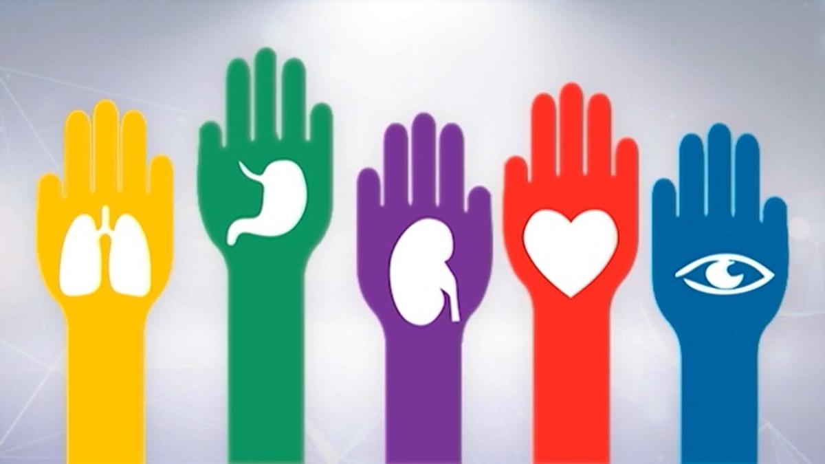 Más de 7.000 argentinos aguardan un trasplante de órganos vitales