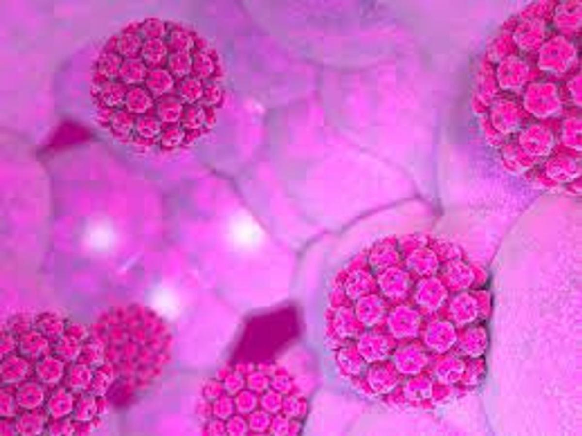 Argentina enfrenta alarmante baja en la vacunación pediátrica contra el VPH