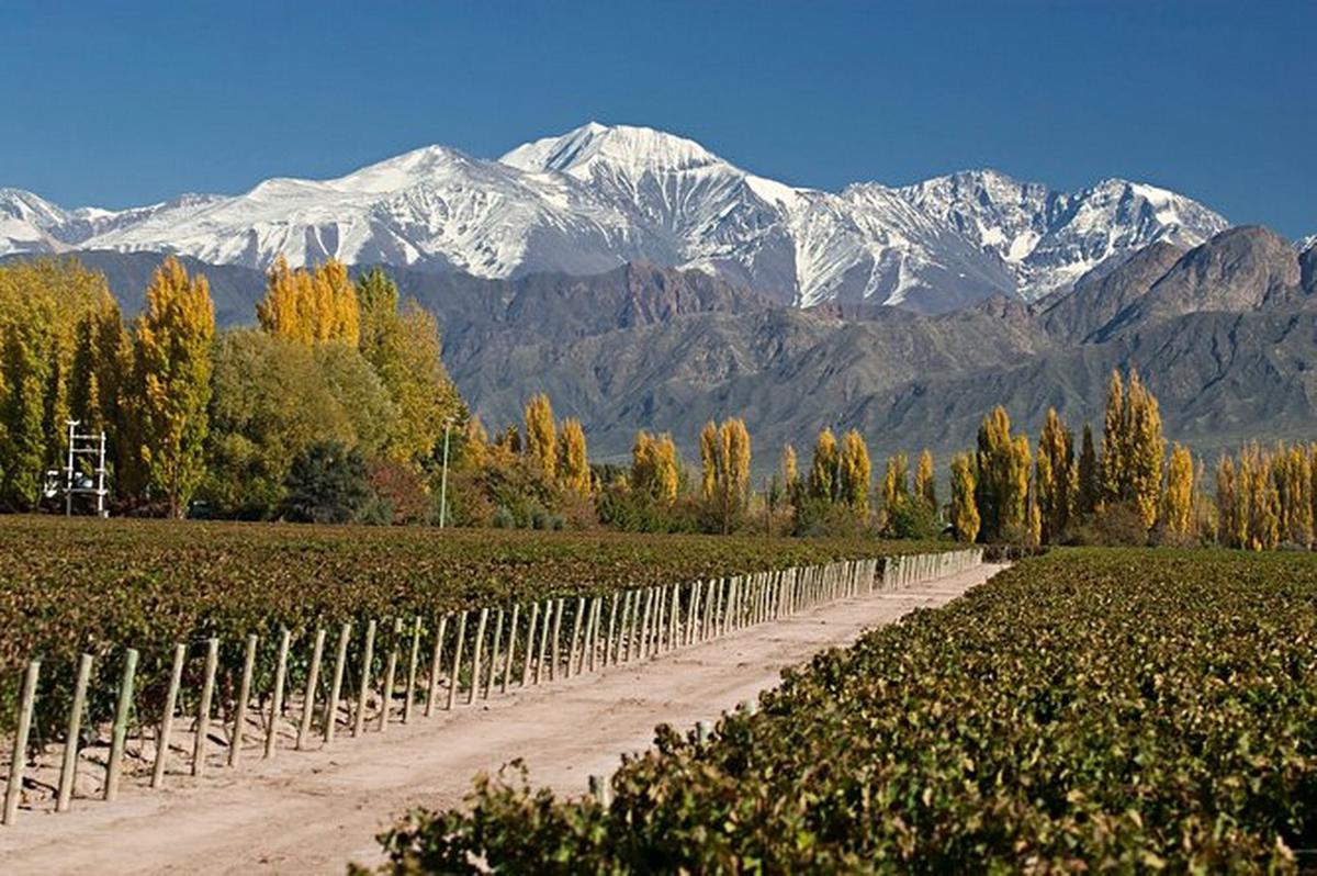 FOTO: Tendencia turística en Cybermonday: Mendoza es el destino más buscado