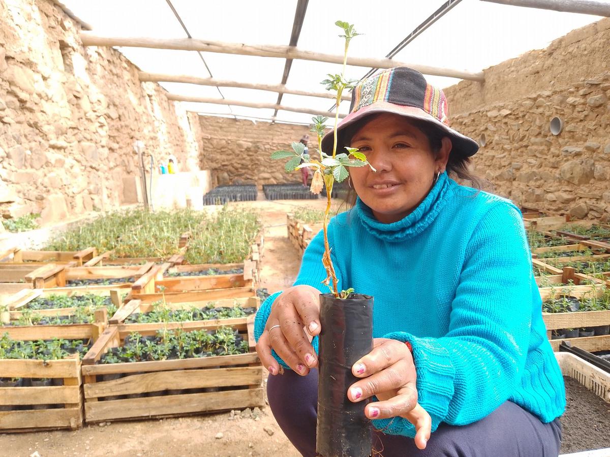 La Fundación Bosquizar apuesta a restaurar los ecosistemas nativos.