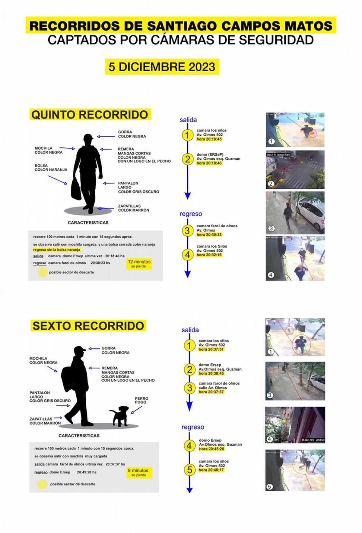 Placas infográficas. Caso Anahí Bulnes.