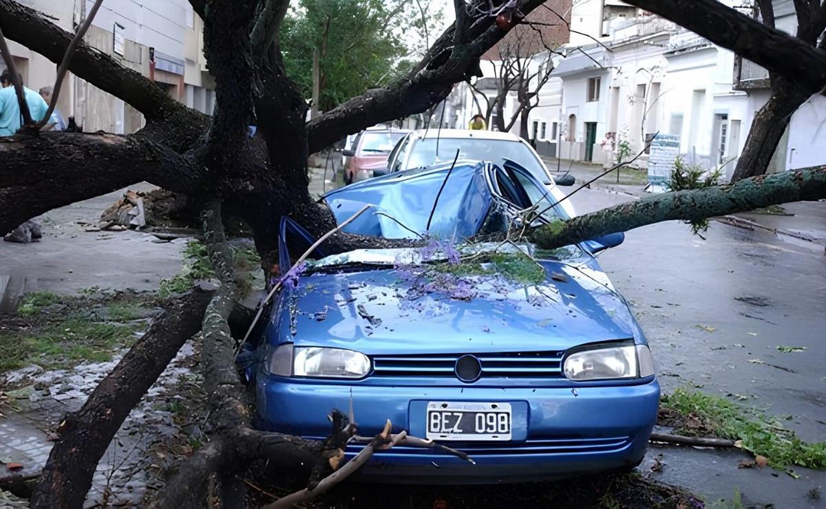 Imagenes de la pedrada de 2006.