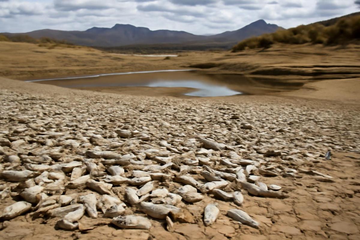 Crisis en el embalse de San Carlos, Arizona