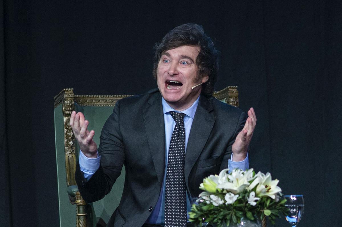 Javier Milei, presidente de la Nación. (Foto: NA/archivo)