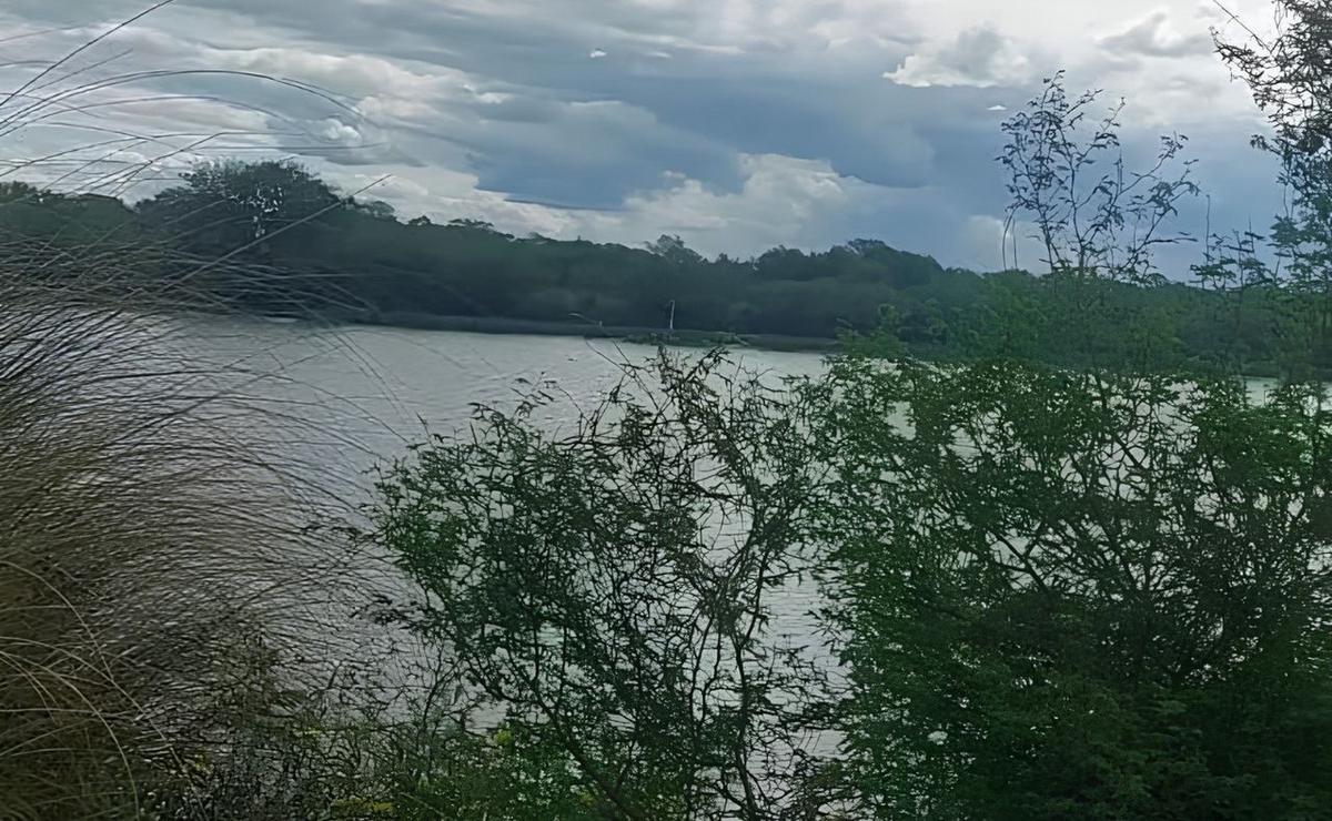 El Niño avanza con furia y genera preocupación en zonas ganaderas.