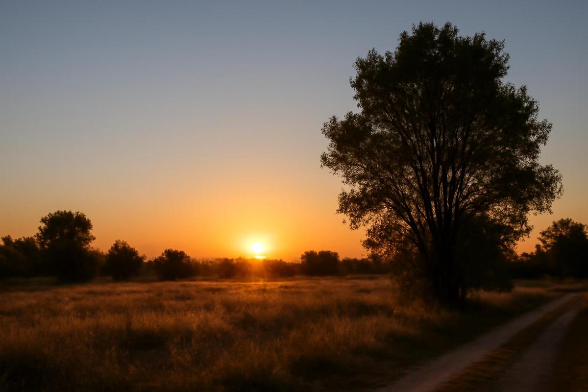 Clima en Salta: pronóstico del tiempo para el 14 de diciembre