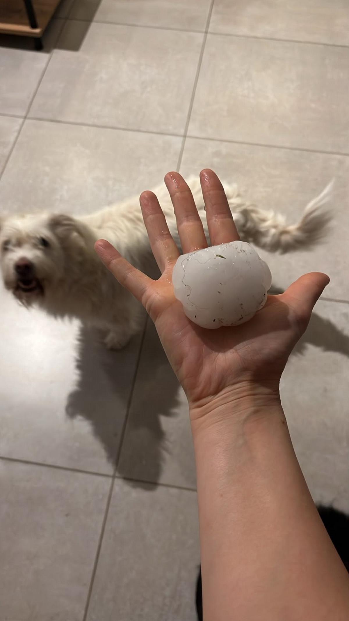 Intensa granizada en Córdoba: algunas piedras eran del tamaño de una naranja.