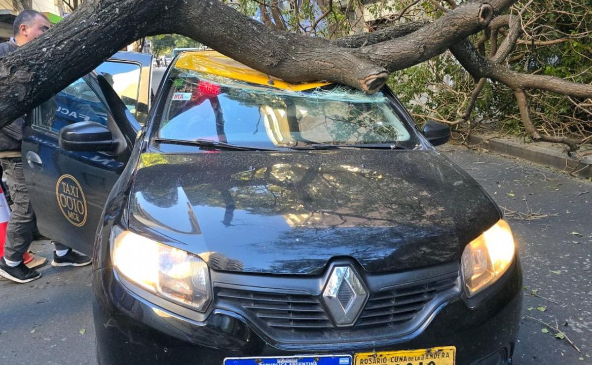 Un árbol cayó sobre un taxi en pleno centro de Rosario.