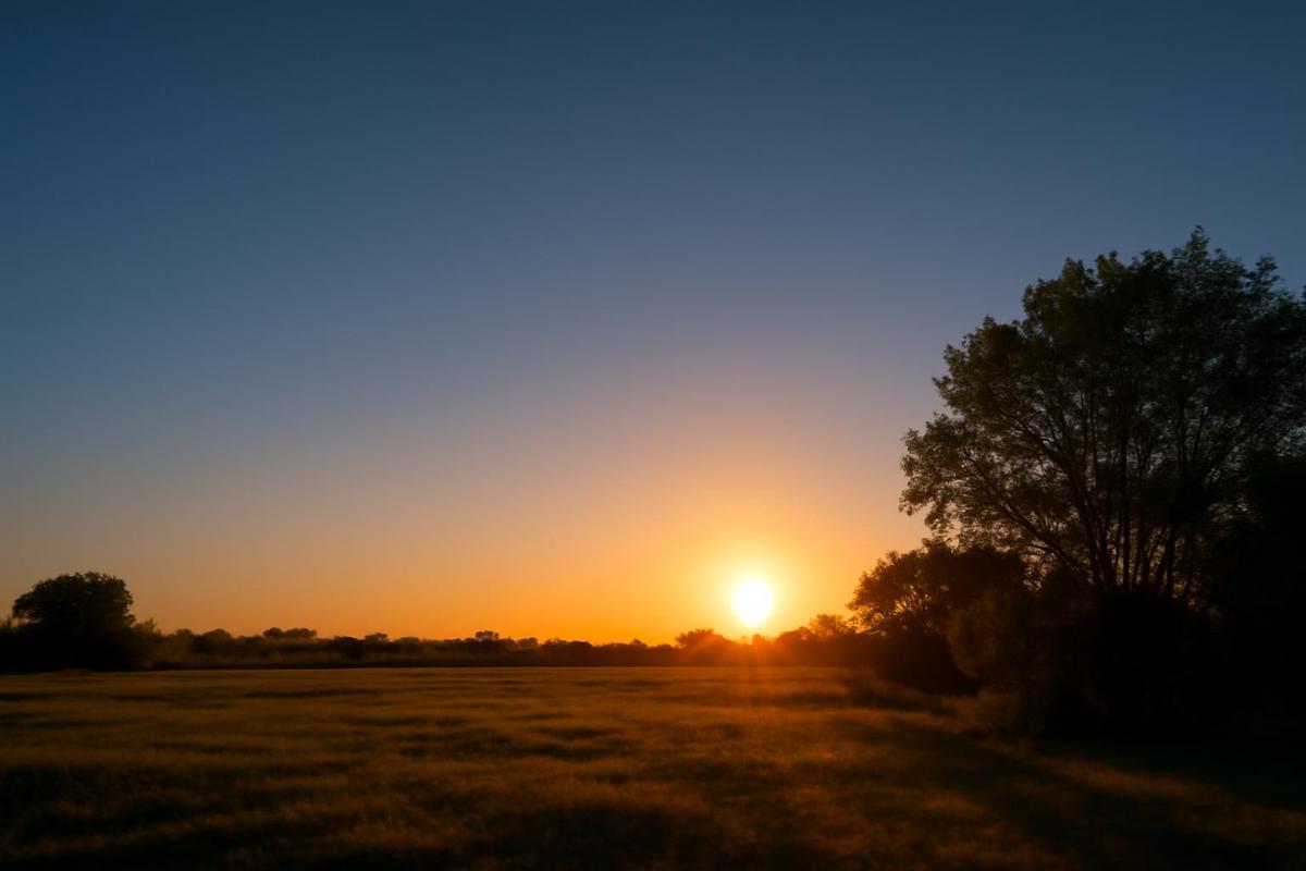 Clima en Santa Fe: pronóstico del tiempo para el 25 de marzo
