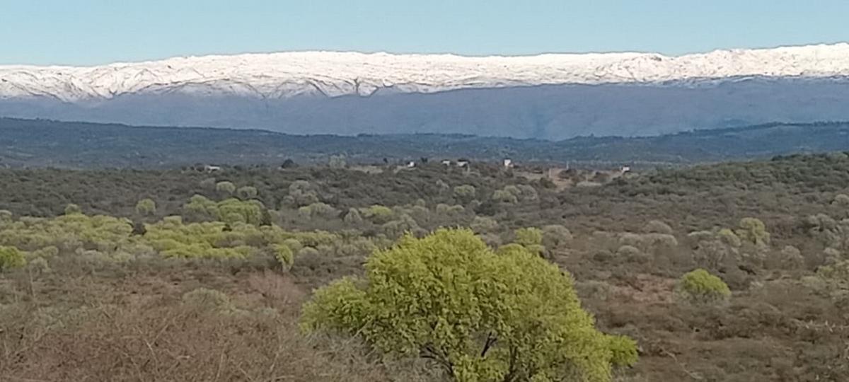 Las fotos de la nieve que los oyentes mandaron al Mensajero de Cadena 3.