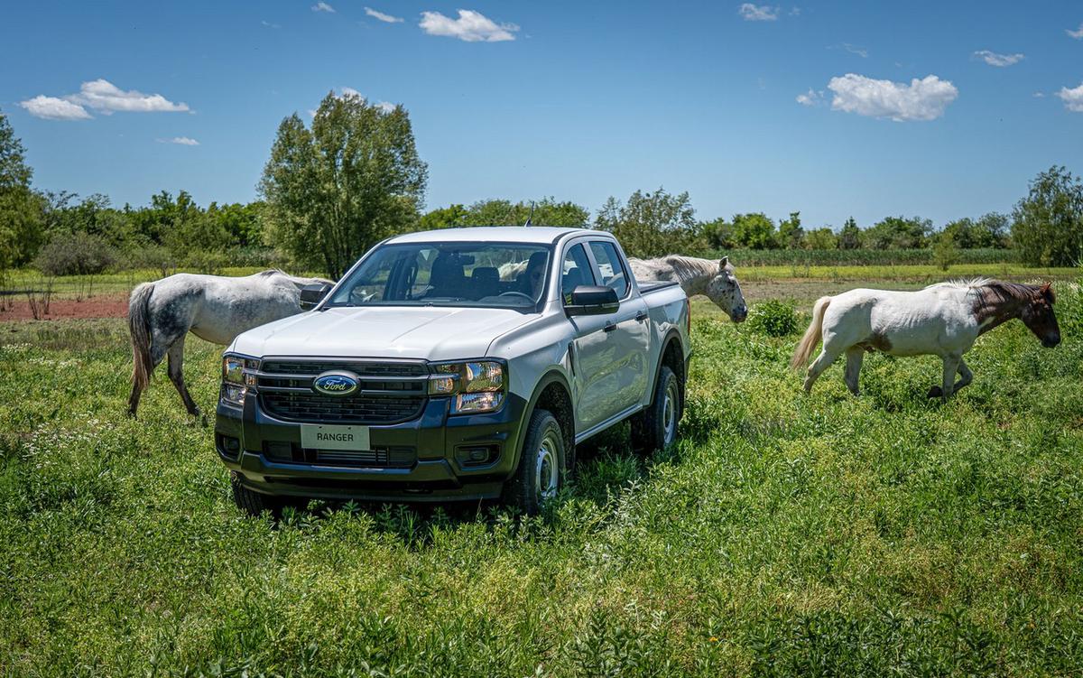 El mercado automotor presenta diferentes alternativas para la compra de pickups