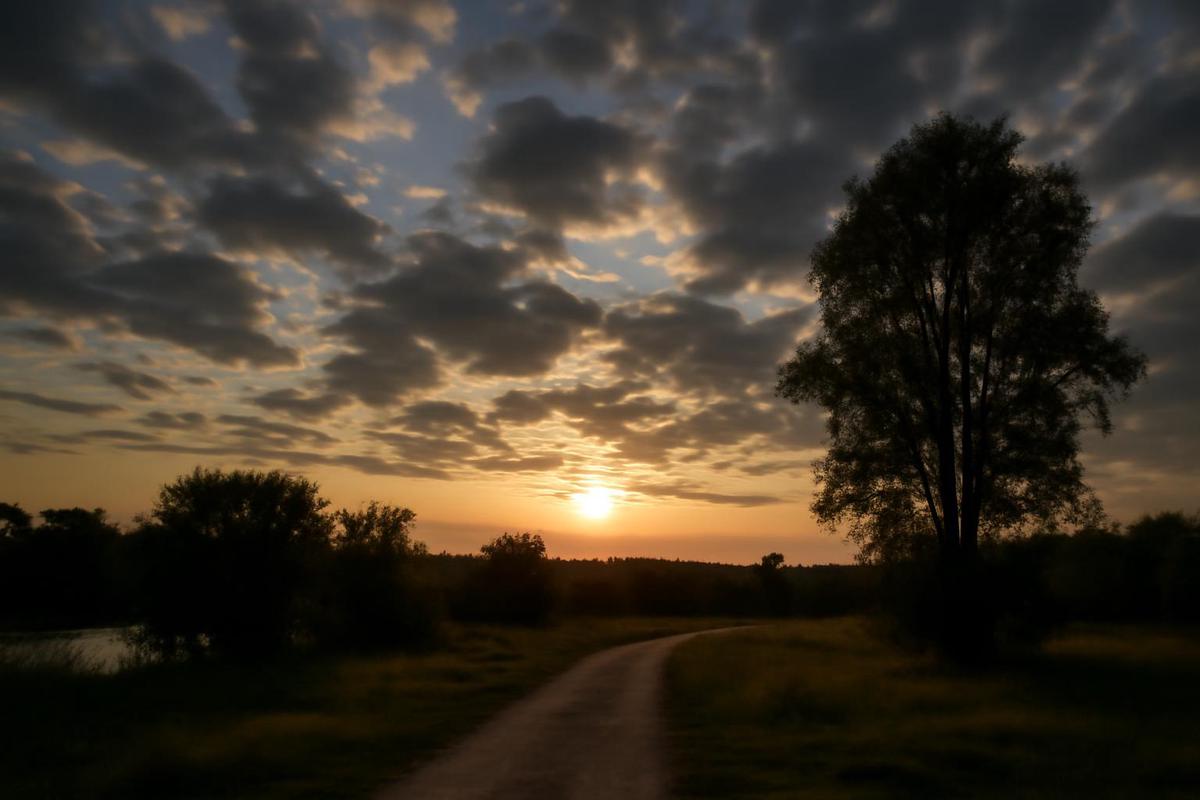 Clima en Salta: pronóstico del tiempo para el 29 de enero